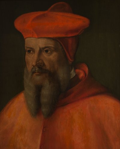 Portrait of Cardinal de Tournon by Giovanni Capassini